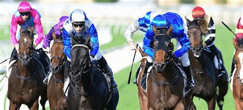 queensland derby betting|Punters.